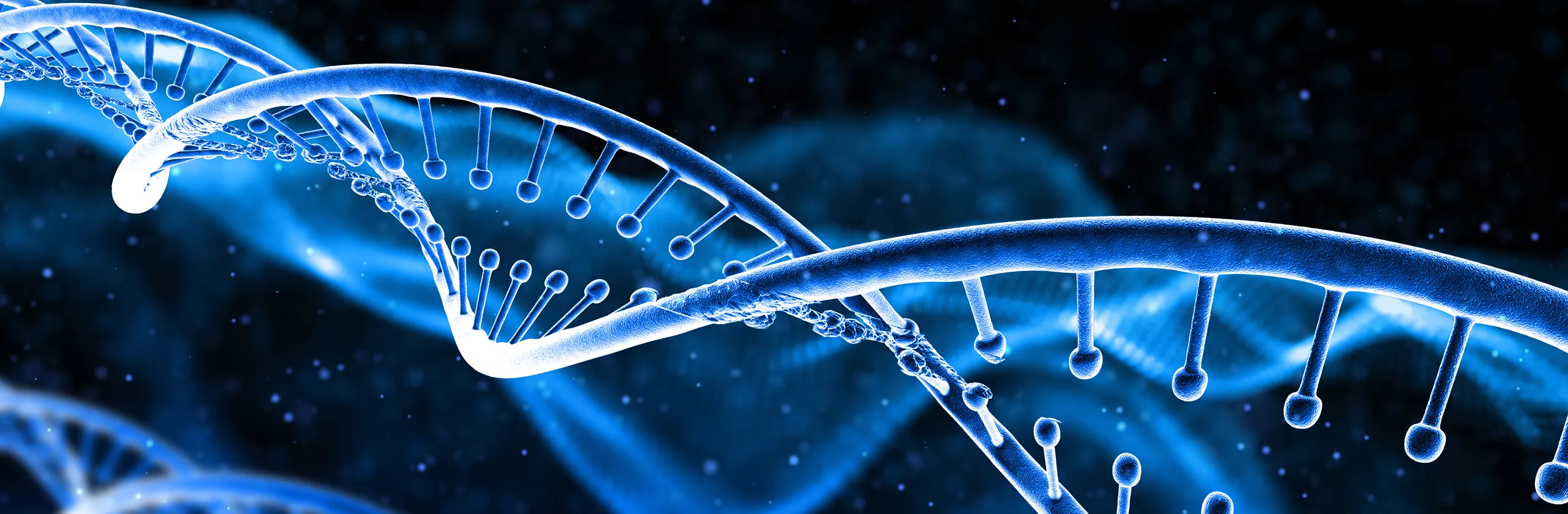 ビジョン背景パターン